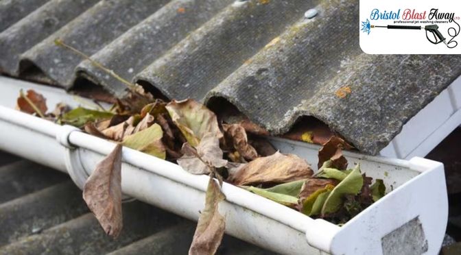 Why Should You Resort to Gutter Cleaning Every Fall?