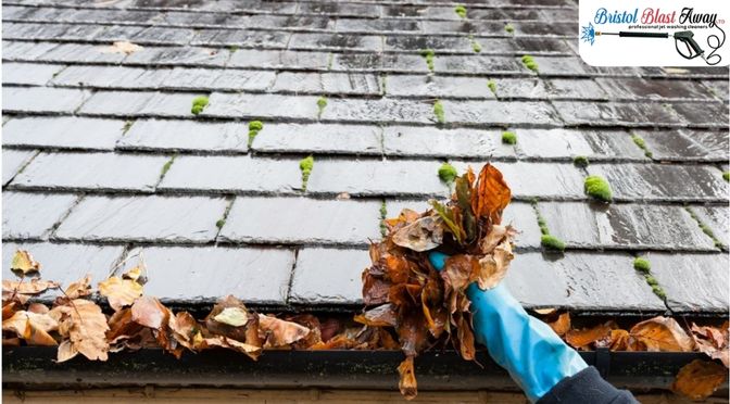 Why Regular Gutter Cleaning Is Essential? Things to Know.