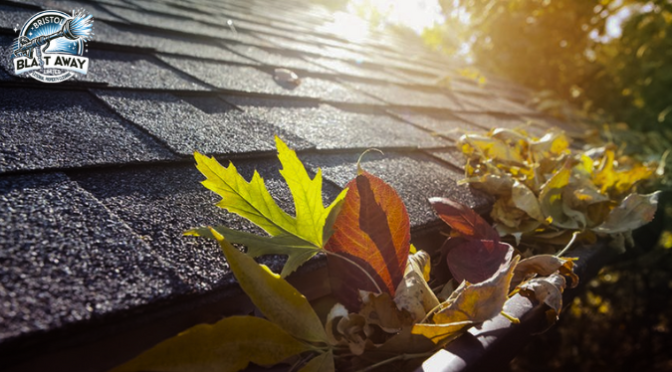 Why Should You Opt for Gutter Cleaning Before Winter Hits?