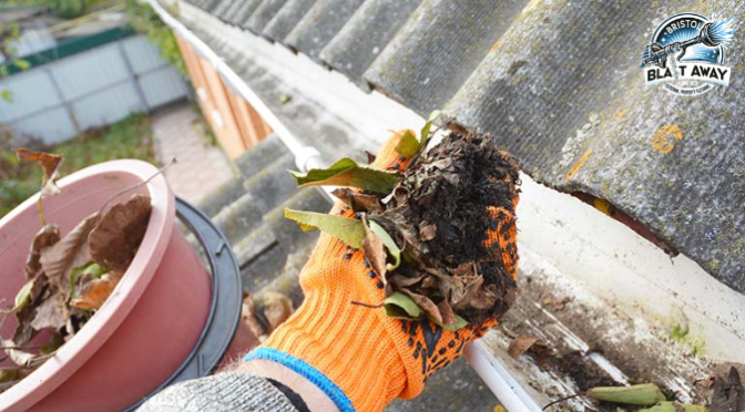 5 Tips to Avoid Overflowing Gutters