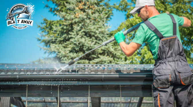 Professional Roof Cleaning