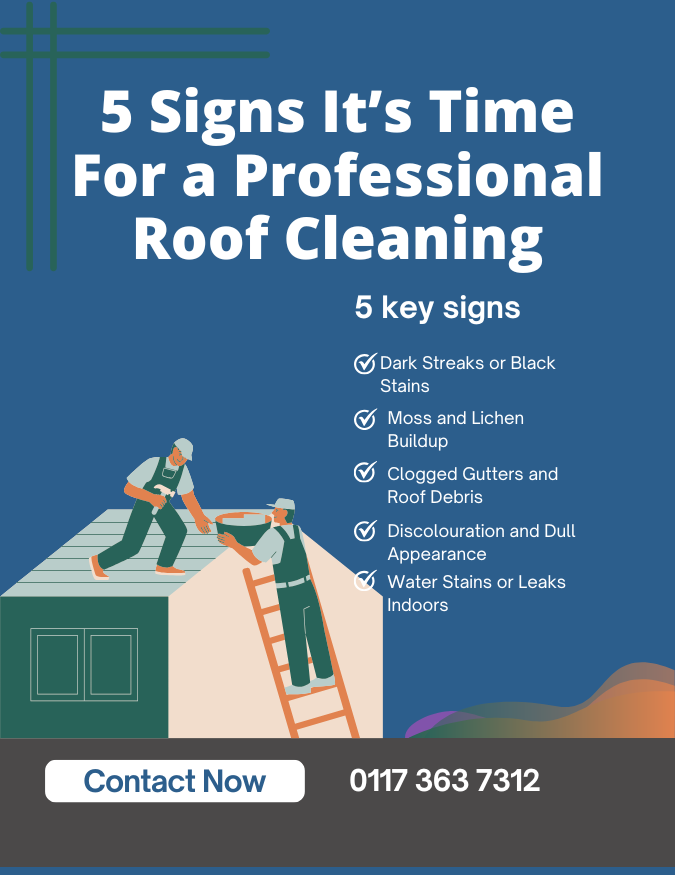 5 Signs It's Time For a Professional Roof Cleaning