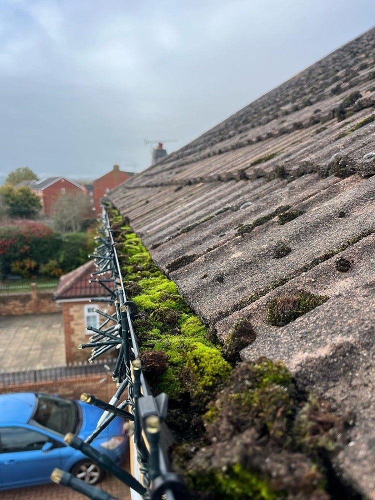 Gutter Cleaning Before 3