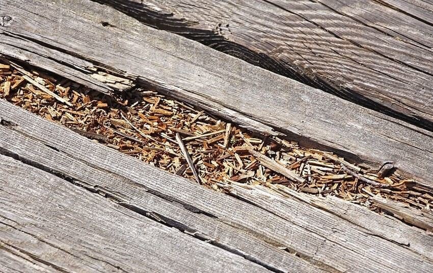 Common Decking Problems and How to Fix Them