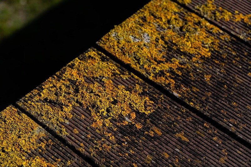 Preventing Algae & Stains After Cleaning