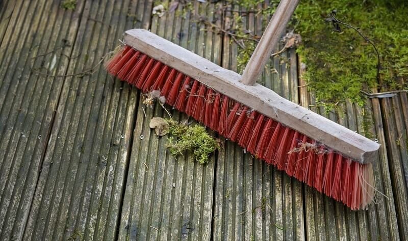 Why Do Algae and Moss Grow on Decking