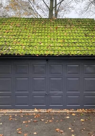 Roof cleaning case 01 before bristol