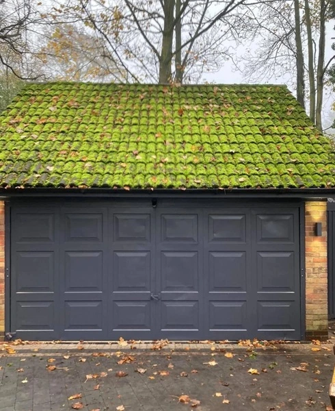 Roof cleaning case 01 before (Bristol)