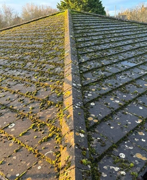 Roof cleaning case 03 before (Bristol)