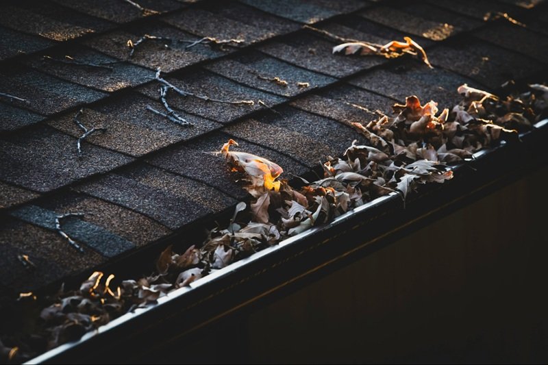 Best Time of Year to Clean Gutters