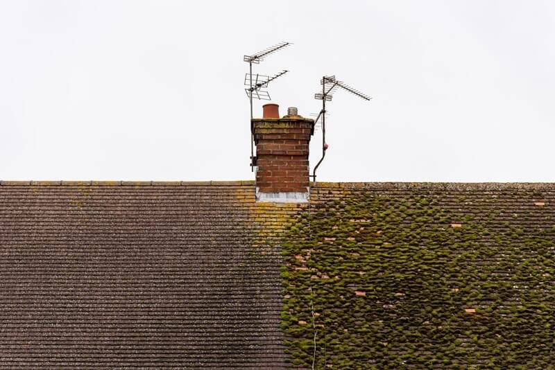 Can you remove roof moss yourself