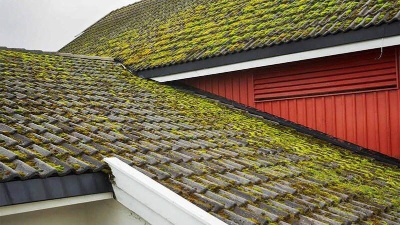 Common mistakes to avoid when removing roof moss