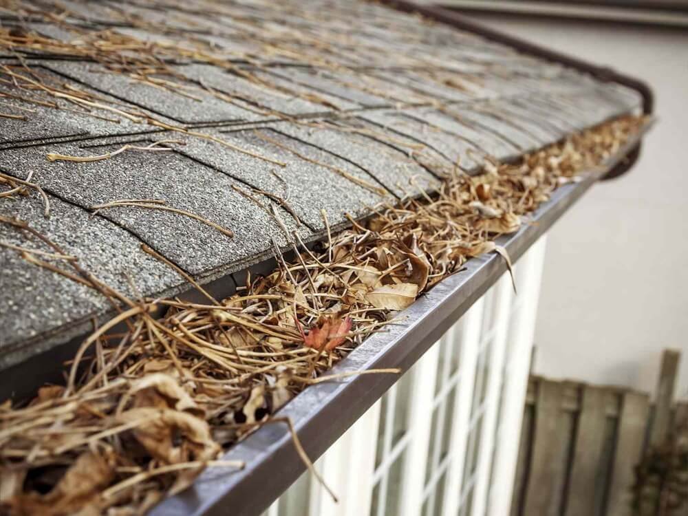 How Often Should Gutters Be Cleaned