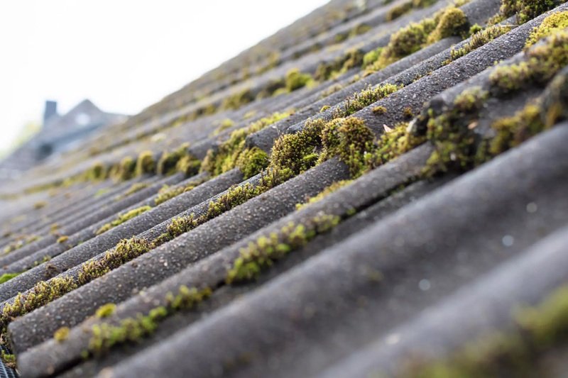 How moss removal helps extend roof lifespan