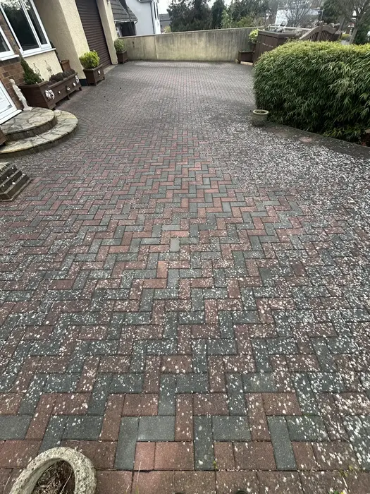 Driveway block paving covered in moss, weeds and lichen before professional pressure washing in Stockwood, Bristol